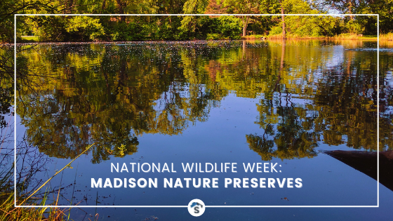 Wildlife Preserves in Madison